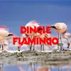 danielbeacham166 - @danielbeacham166 - TikTok