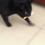 ᵇᵉᵃⁿˢ - @danbeanzz - Instagram