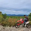 dan - @danbeare51 - TikTok