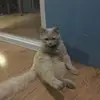dan beau - @dan.beau1 - TikTok