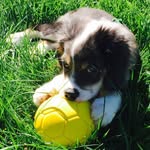 Dan Beaudry - @dabeaudr - Instagram