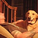 Dan Beaupre - @beaupre.dan - Instagram