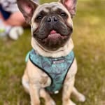 Dan Beaver - @revbeav - Instagram
