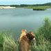 Dan Beaver - Facebook