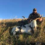 Dan Beavers - @dbeavers1983 - Instagram