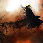 Dan Beckett - @dan.beckett04 - Instagram