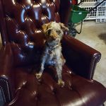 Dan Beckley - @sxhnoodledoodle - Instagram