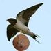Daniel Beckstead - Facebook