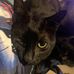 Dan Bedell - Facebook