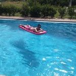 Dan Bedford - @bedforddan - Instagram