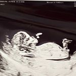 @danbeech - Instagram