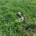 Dan Beedle - Facebook