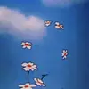 lala - @danbeen.404 - TikTok