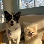 단비단별자매인스타🩷 - @danbeestar_ - Instagram