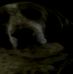 Dan Beggs - Facebook