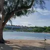 Dan Beharry - @dan.beharry - TikTok