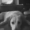 Danny - @dannybehrens937 - TikTok