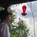 Dan Belanger - Facebook