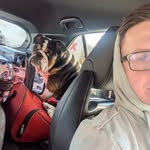 Dan Bell - @zoras.papa - Instagram