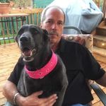 Dan Belliveau - @dan.belliveau1 - Instagram