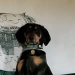 Dan Belzer - @dan.belzer - Instagram