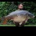 Dan Bemister - Facebook