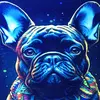 dan - @dan.benavides49 - TikTok