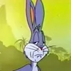 dan.hoobit - @dan.bender - TikTok