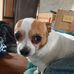 Danny Bender - Facebook