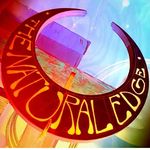 Dan Benecke - @thenaturaledge66 - Instagram