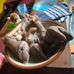 Sop Kambing Dan Sapi Mang Benge Ciamis - Facebook