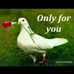 Beno Dan - Facebook