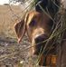 Dan Beno - Facebook