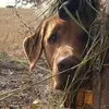 Dan Beno - @dan.beno - TikTok