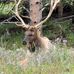 Dan Benoit - Facebook
