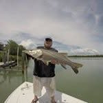 Dan Benoit - @239802dan - Instagram