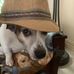 Dan Berardi - Facebook