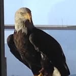 Dan Berggren - @berggren134 - Instagram
