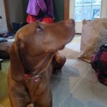 Dan Bergin - @dan.bergin.3348 - Instagram