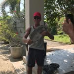 Dan Bergström - @danb1956 - Instagram