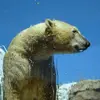 Danny Bergstrom - @danny.bergstrom - TikTok