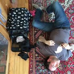 Dan Berkley - @danberkley - Instagram
