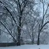 Dani B - @dani_berkley - TikTok