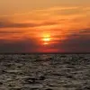 daniel berland - @daniel.berland - TikTok