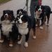Daniel Berndt - Facebook