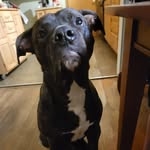 Dan Bernier - @danarchy7000 - Instagram