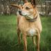 Dan Bernier - Facebook