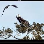 Dan Bernitt - @bernittdan - Instagram