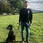 Dan Berry - @dan_berry_ - Instagram