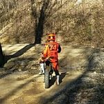 Dan Bertalan - @danbertalan - Instagram